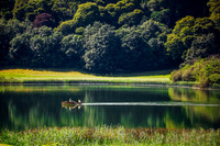 Sunshine Boat Dromoland 002