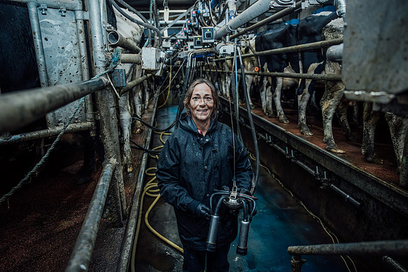Karen Smyth Dairy Farm 006