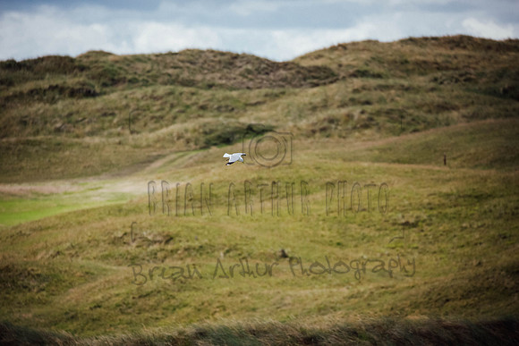 Lahinch SOI Golf Sat 091