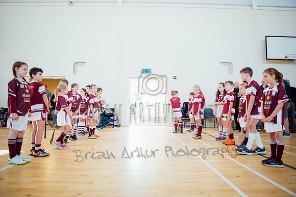 Wheelchair Hurling Clare 018