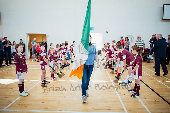 Wheelchair Hurling Clare 021
