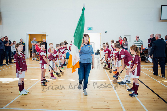 Wheelchair Hurling Clare 020